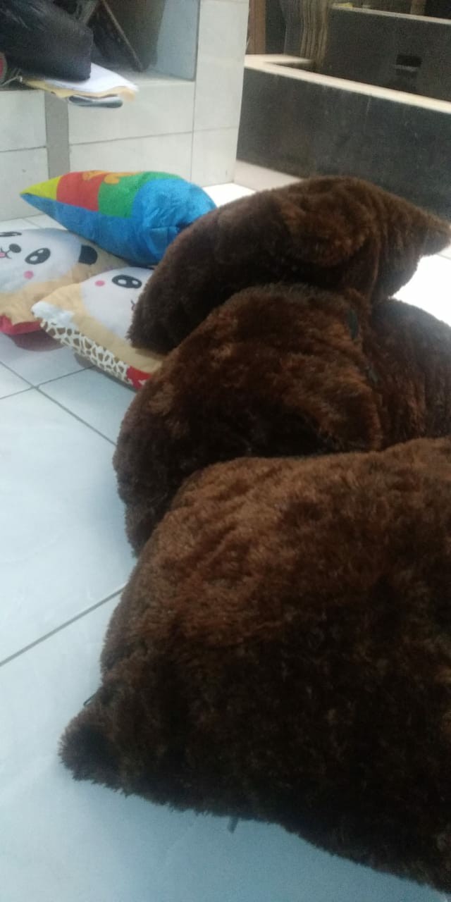 Bantal Kata-kata Karakter Lucu Full Dacron