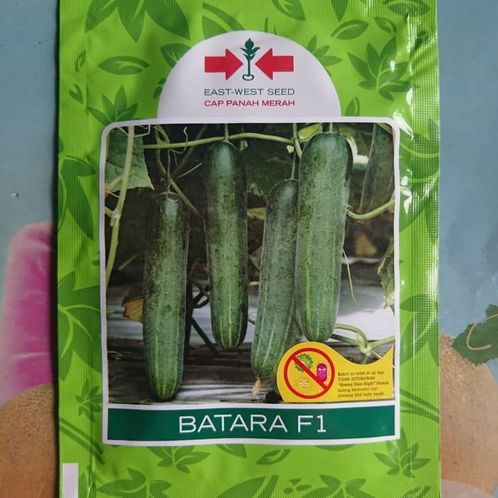 Benih Timun Mentimun Hijau Batara 20 gram