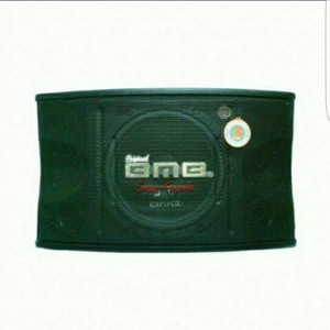 Speaker BMB CS 450 V SK ( 10 inch ) 1set