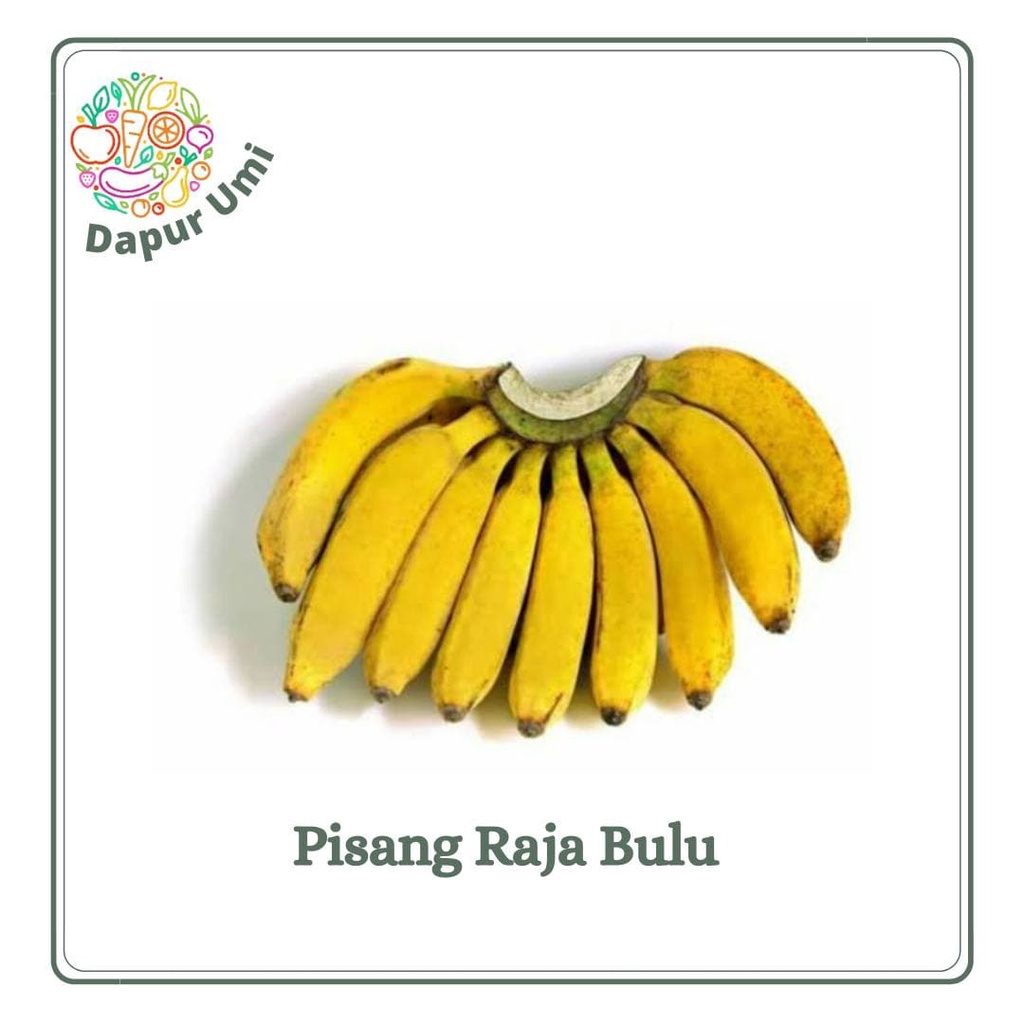 

PISANG RAJA BULU - BUAH BUAHAN SEGAR PURWAKARTA