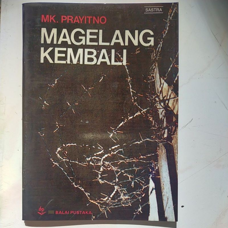 Novel jadul balai pustaka-Magelang kembali'