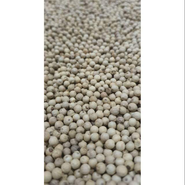 

KUALITAS SUPER EKSPOR Lada Putih Bangka [100 Gram]