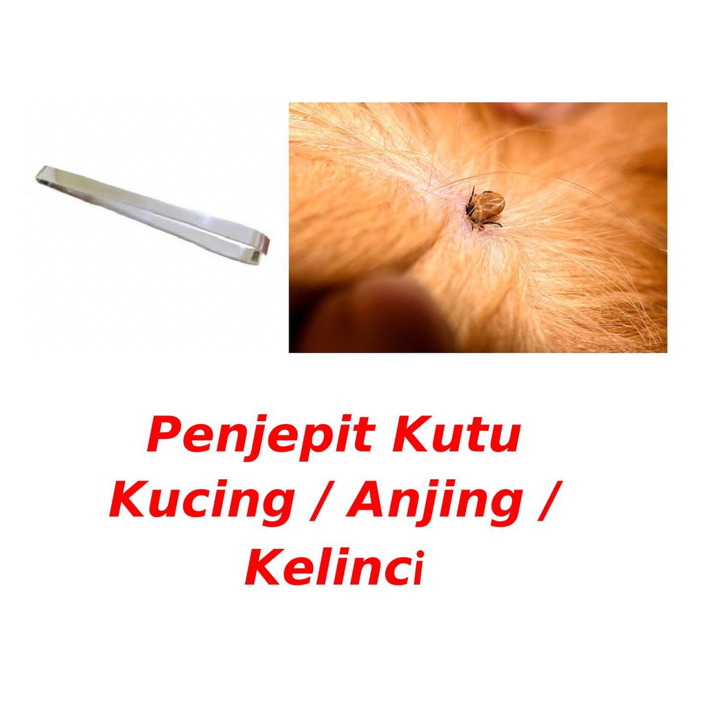 Penjepit Kutu Kucing Anjing Kelinci Stainless Steel Jepitan Jepit