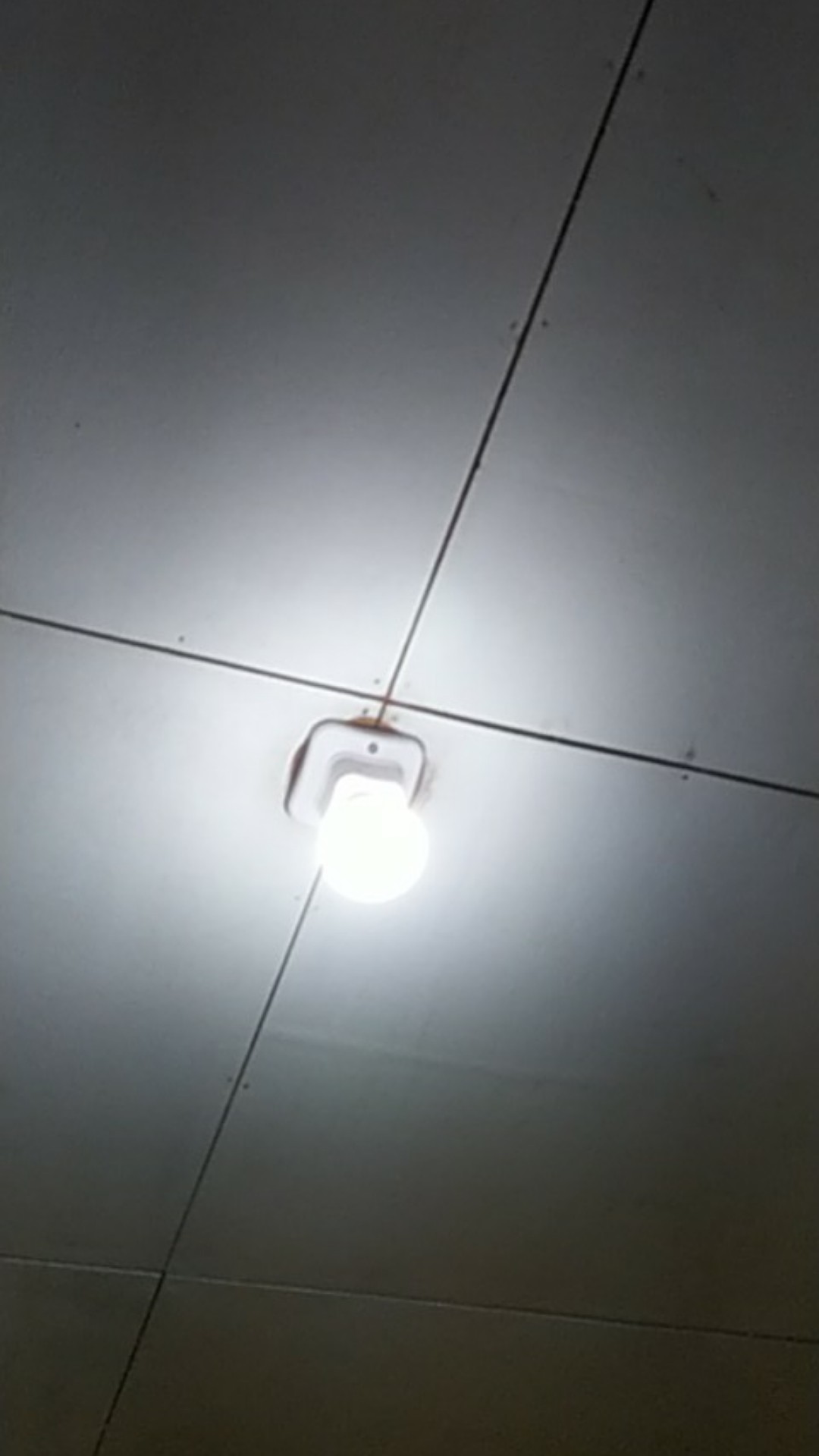 Tempat Beras Rovega Rice Wise Dispenser 5 Kg Rcb-05