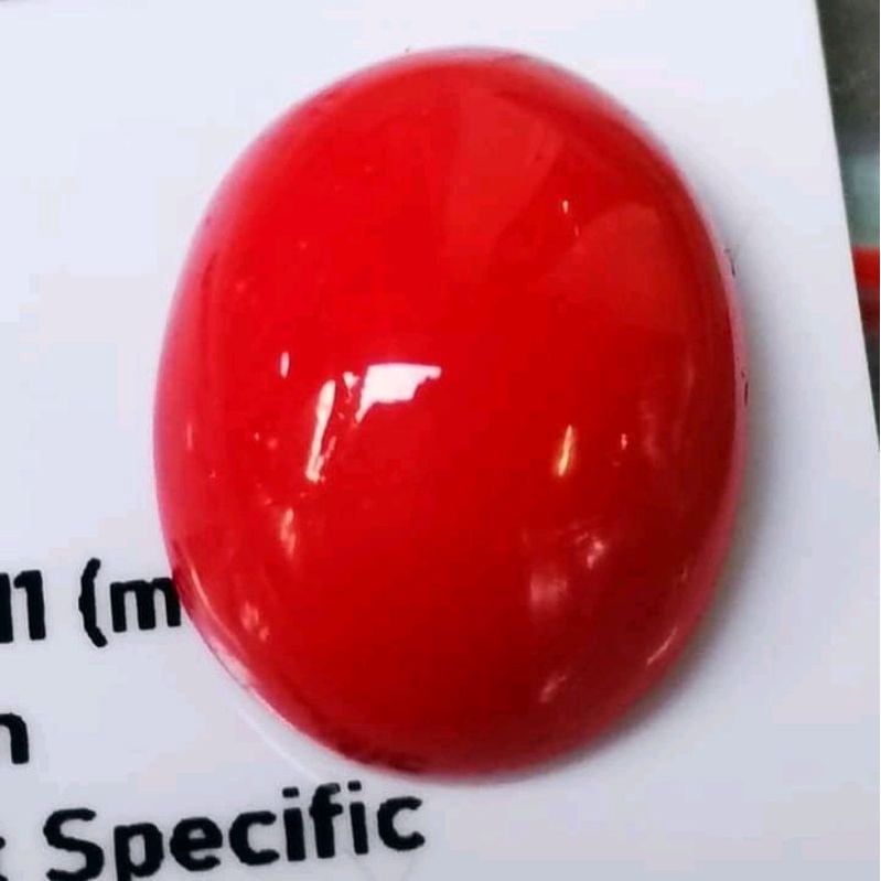 ASLI BATU PERMATA RED CORAL MARJAN+MEMO