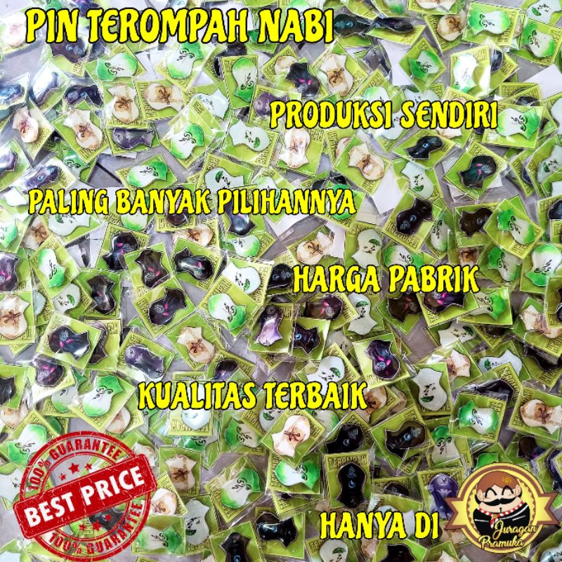 PIN TEROMPAH VARIAN KERANG CANTIK