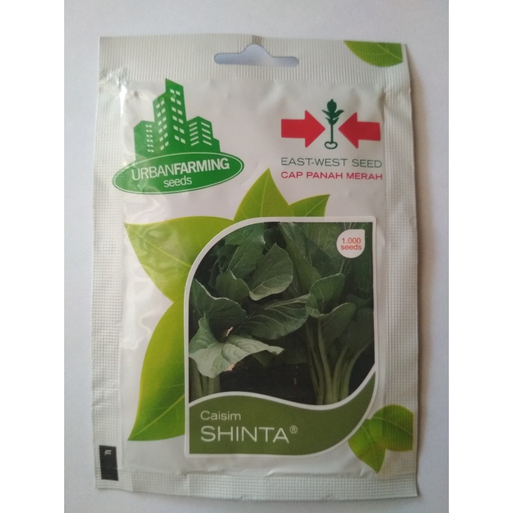 BIBIT CAISIM SHINTA