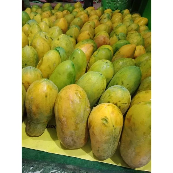 

Ay00! Pepaya California Manis Rasa Manis 1 Buah