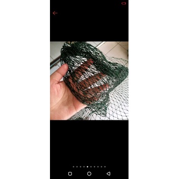 Seser ikan besar/serok ikan 50cm
