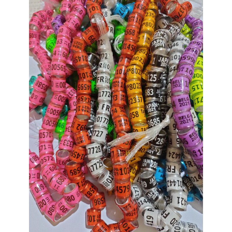 RingMerpatiImport2021