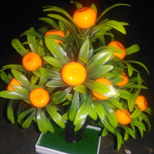 naifaaqilacahyarani23