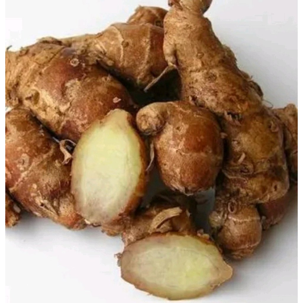 

Kencur Segar 250 Gram
