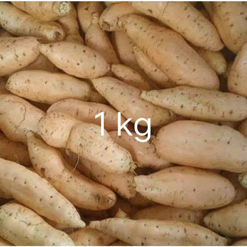 

ubi 1 kg