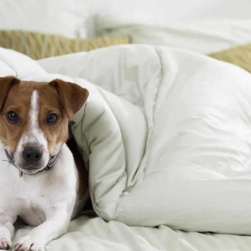 T Force Tourmaline Series Quilt Bed Cover | Selimut Ranjang