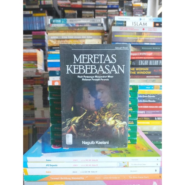 Novel Original : MERETAS KEBEBASAN Kisah Perjuangan Masyarakat Mesir Melawan Penjajah Perancis