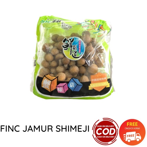 FINC JAMUR SHIMEJI