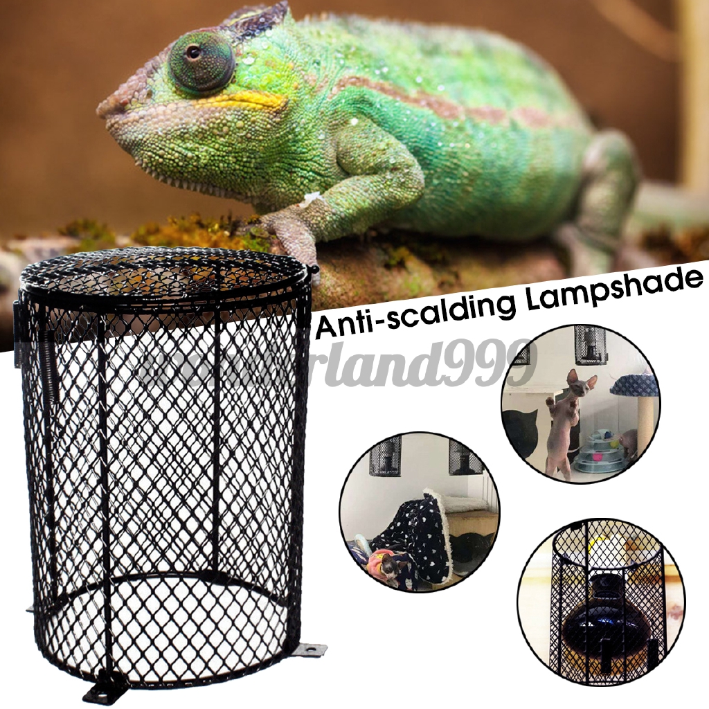 reptile lamp shade