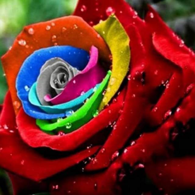 enisupraptihafizhannisa