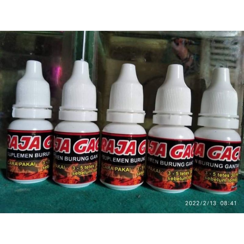 Doping trucuk Raja Gacor