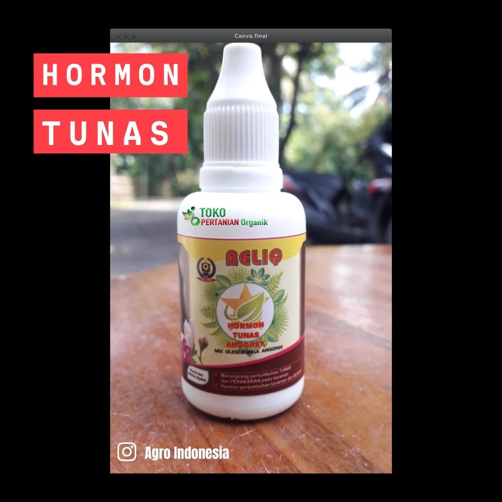 Hormon Untuk Pertumbuhan Tunas RELIQ - Hormon Pembentuk Tunas Batang dan Daun Anggrek