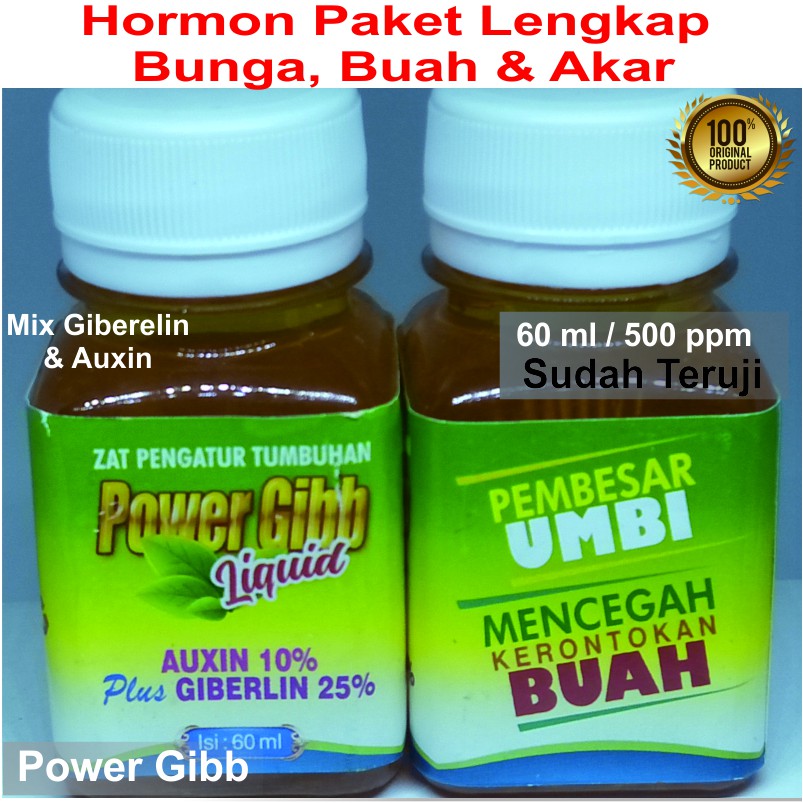 ZPT Power Gibb Pupuk Tanaman Hormon Perangsang Segala Tanaman mix giberelin dan Auksin