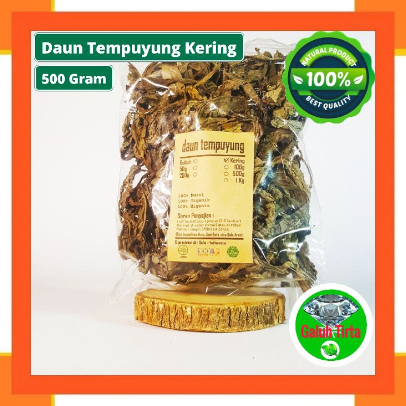 

DAUN TEMPUYUNG KERING 500 GRAM - Sonchus Arvensis - MURNI - JSR