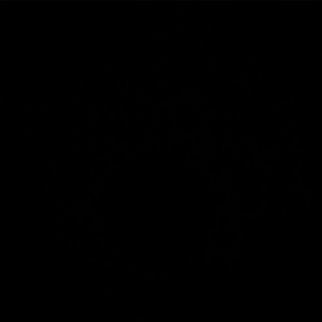 Timbangan Emas Permata Camry 200 Gram Pocket