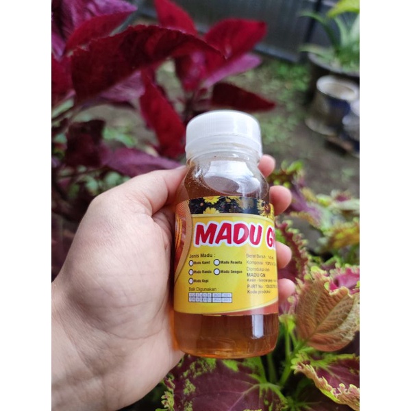 

MADU MURNI ASLI 100% 140ml 200gr RANDU KOPI ROSELLA SENGON KARET