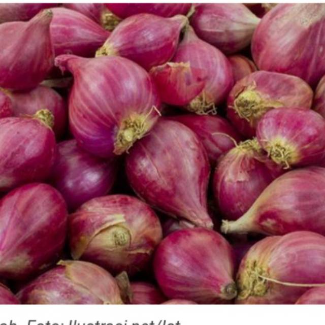 

Bawang merah