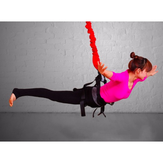 VITALITY BUNGEE TRAINING STRENGHT EXERCISE AIR YOGA AEROBIC AKSESORIS FITNESS CENTER MURAH ESHADE
