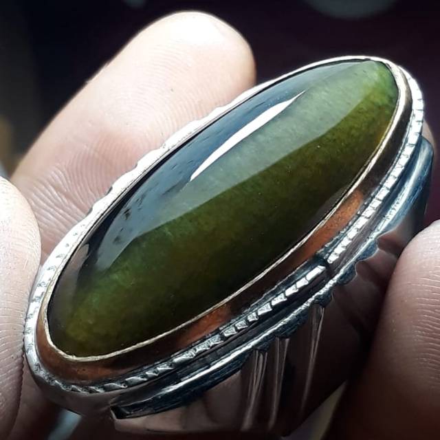 PANDAN LUMUT SISIK BETIK TOP QUALITY