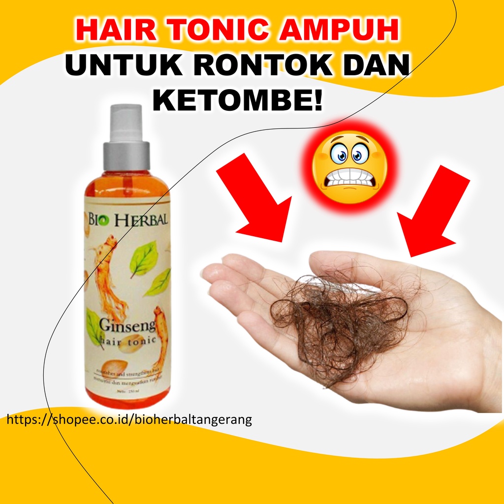 Obat Rontok Parah Dan Ketombe Penumbuh Rambut Ampuh Cepat Original Ginseng BPOM 250 ml B2P