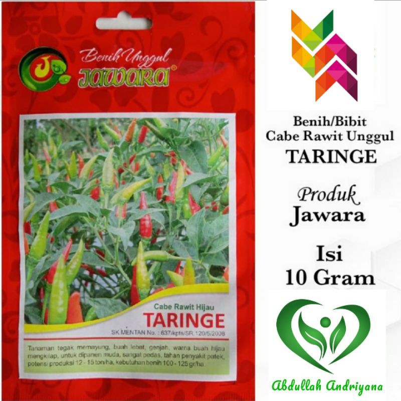 Benih Bibit Benih Cabe Rawit Hijau TARINGE 10gr Sekitar Benih Bibit Benih Cabe Rawit Hijau TARINGE 10gr Sekitar