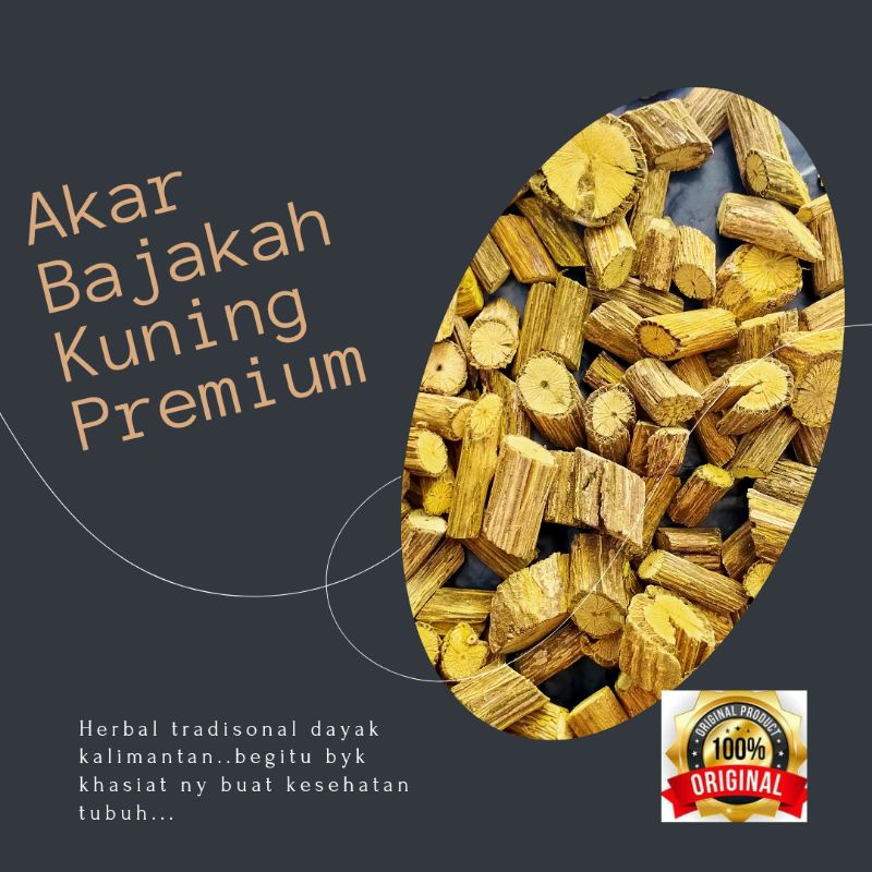 

Bajakah akar kuning asli kalimantan