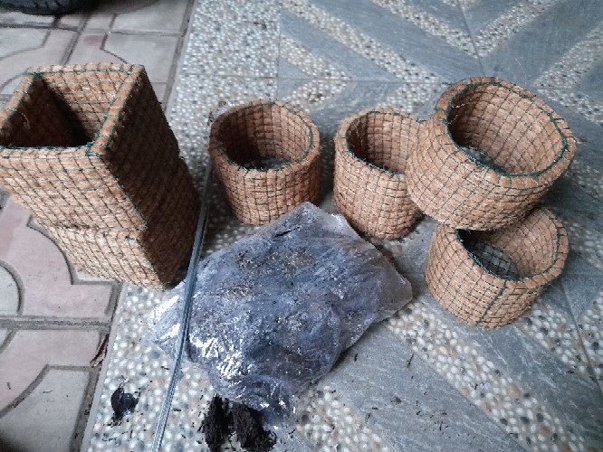 Pakis Cacah 500gr Media Tanam Media Anggrek L