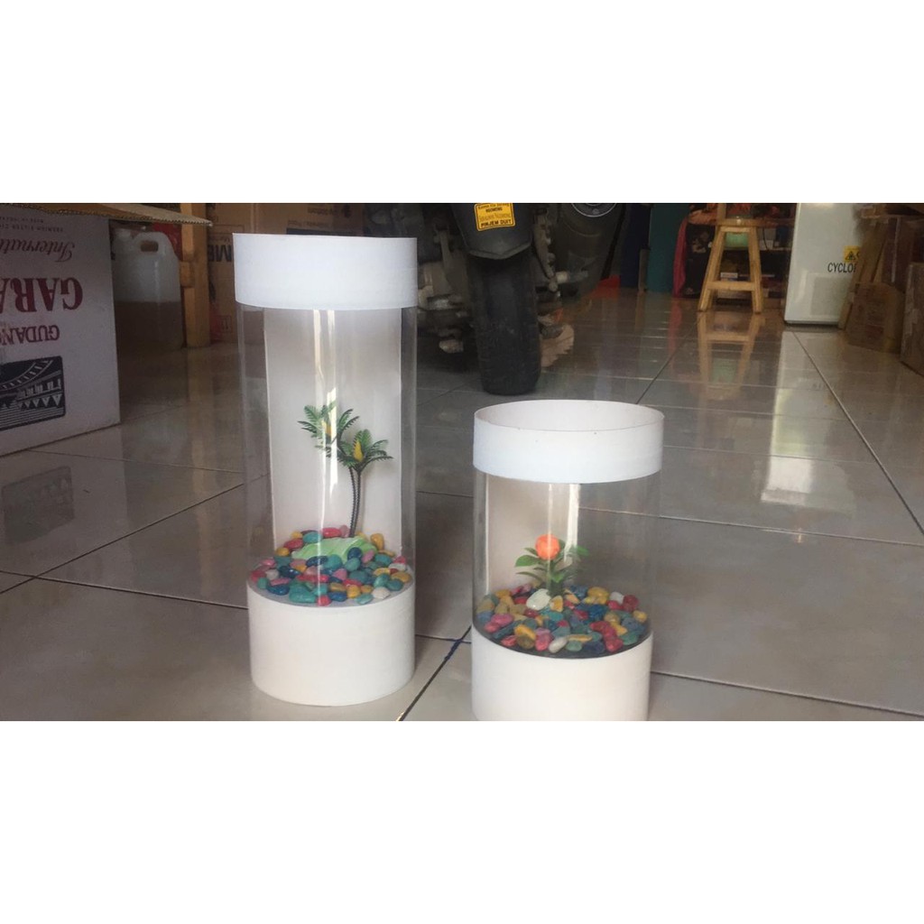 AQUARIUM MINI 20CM / KADO ANAK / KERABAT TERSAYANG / HIASAN RUANG TAMU / HIASAN MEJA KANTOR