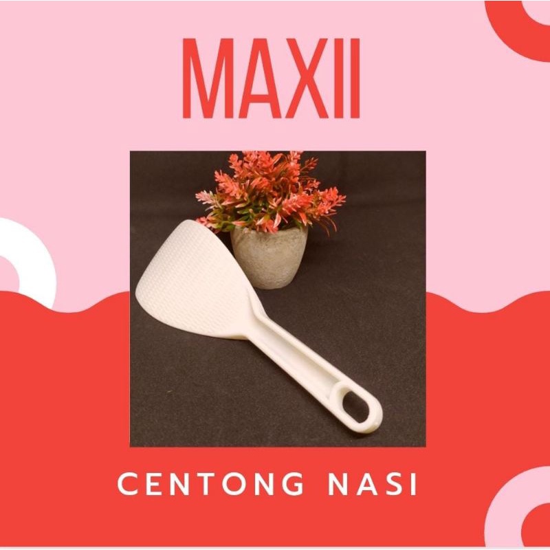 

centong nasi