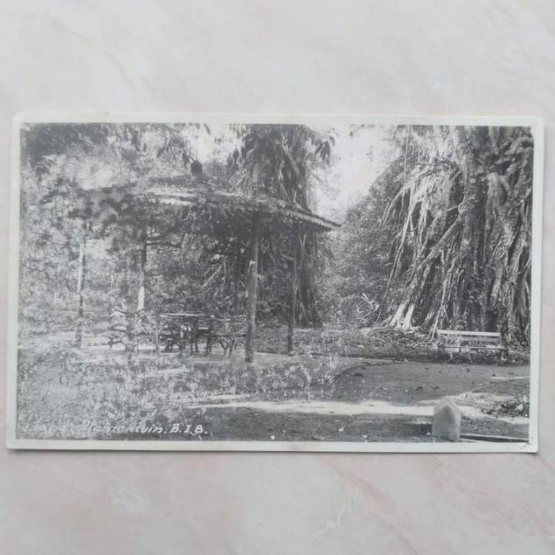 Kartu Pos Foto Kuno Tua Nederland Indie 1900-1940an Kebun Raya Buitenzorg Bogor A
