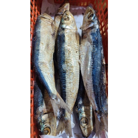 

Ikan asin Japuh Merah Super
