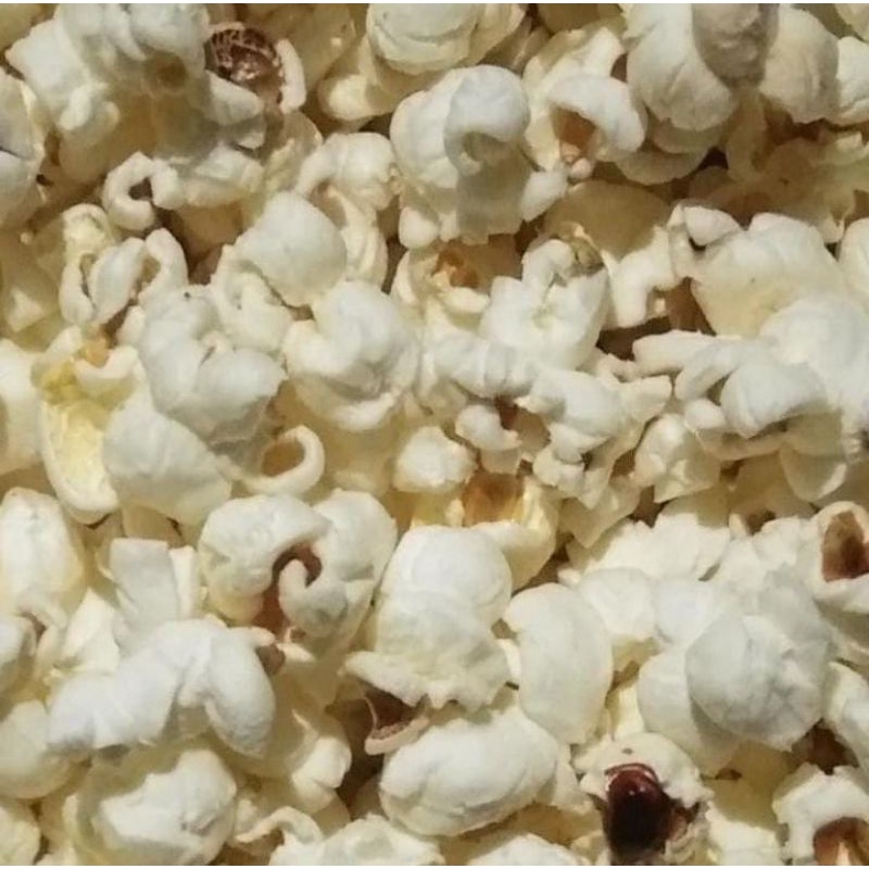 

Pop Corn Rasa Original 100Gr