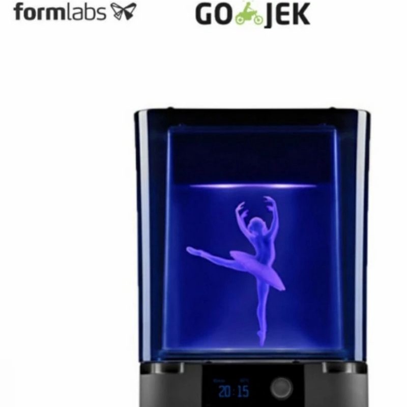 Original 3D Printer Formlabs Form Cure System