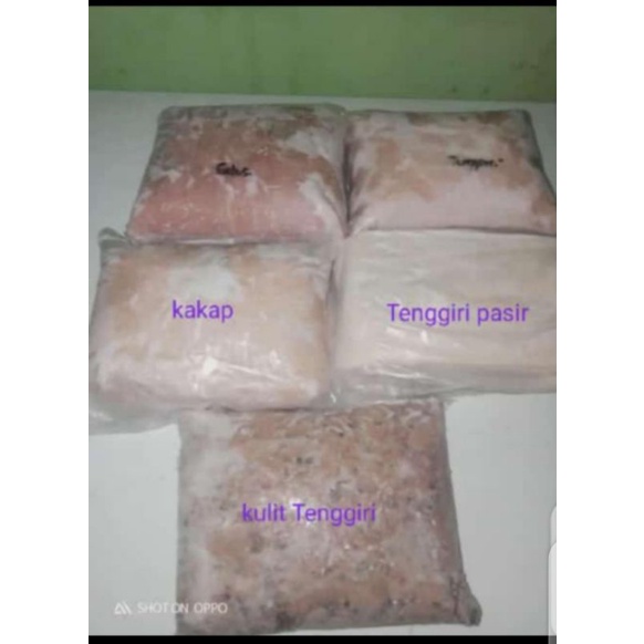 

Ikan Giling Kualitas Pabrik (Tenggiri Pasir)