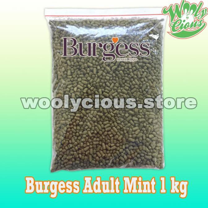 BEST SELLER Makanan Kelinci Burgess Adult Mint Repack 1 kg