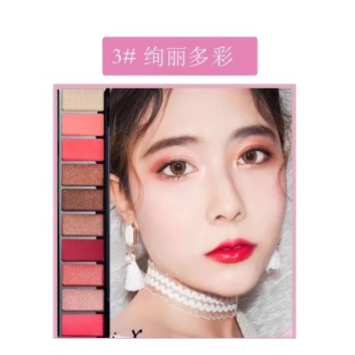 LAMEILA Fashion Matte Eyeshadow Pallet Makeup 10 warna DJ 9999
