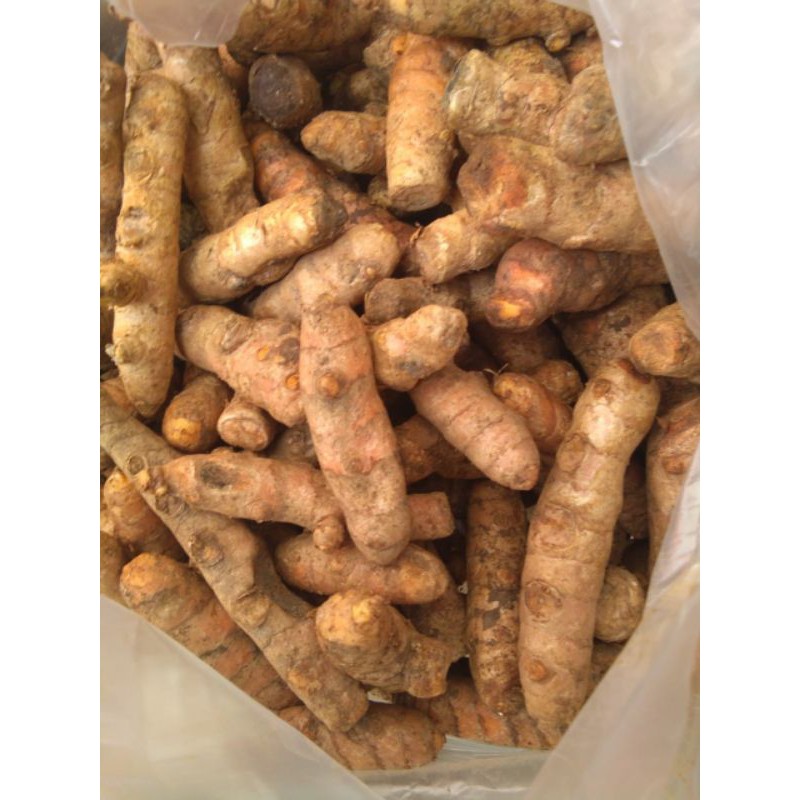 

Kunyit/250 gram