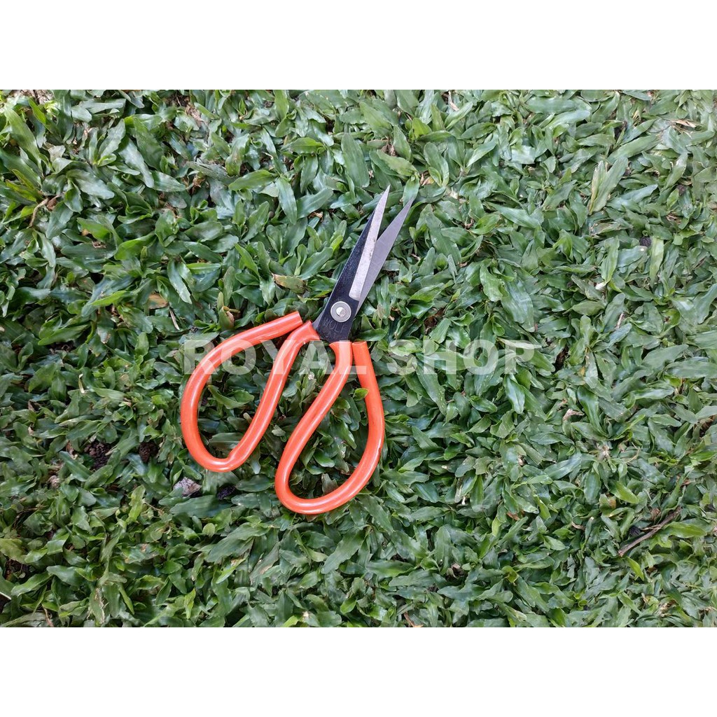 

Gunting Kain / Gunting Kodok / Gunting wolf 7,5