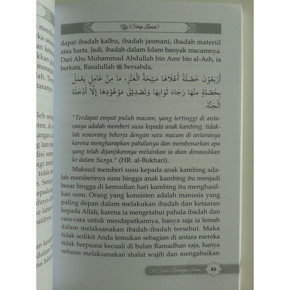 Buku 31 Sebab Lemahnya Iman - Darul Haq