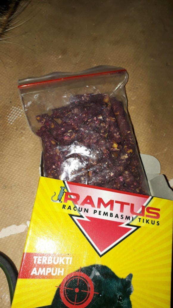 Racun Tikus Ramtus 50gram