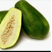 

buah pepaya segar baru petik buah paya