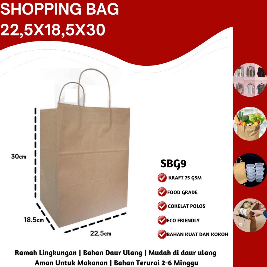 Tas Belanja Paper Bag Shopping Bag Kantong Belanja (SBG9-20X16.5X30 Cm)